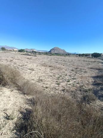 Terreno en camino del Diputat, 212