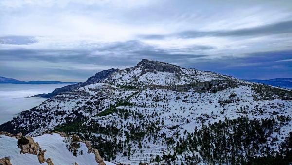 Terreno en calle Palacio, 6