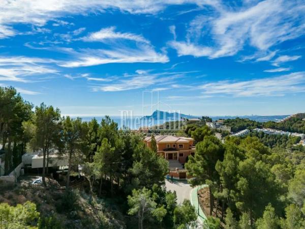 Terreno en calle berlin