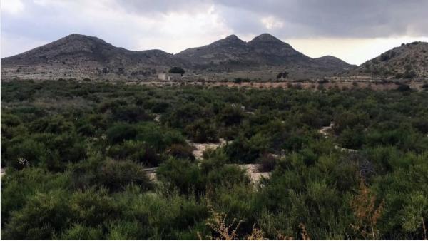 Terreno en via Polígon Industrial la Escandella, 20