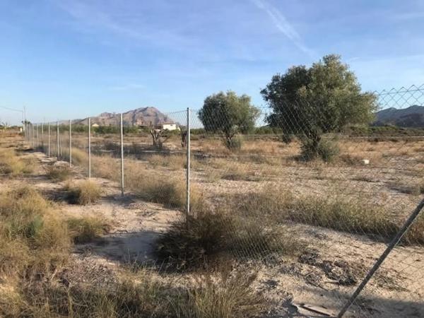 Terreno en Montepinar-La Aparecida-Raiguero