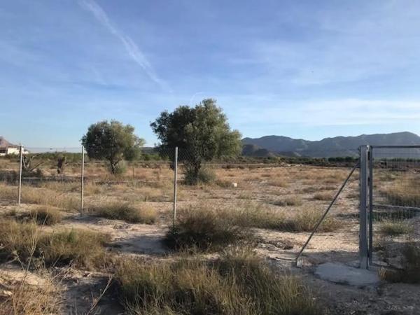 Terreno en Montepinar-La Aparecida-Raiguero