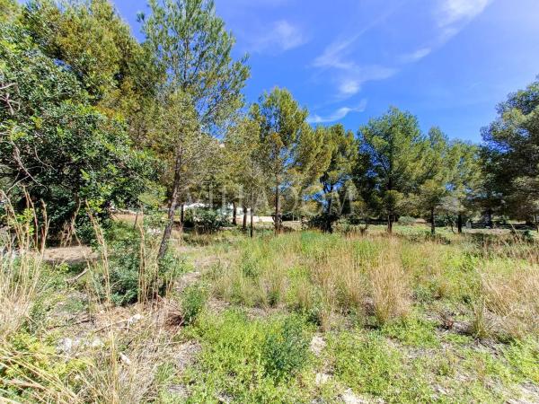 Terreno en Montgó - Ermita