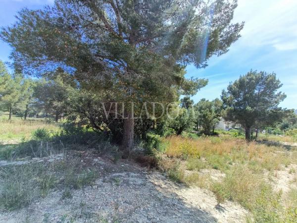 Terreno en Montgó - Ermita