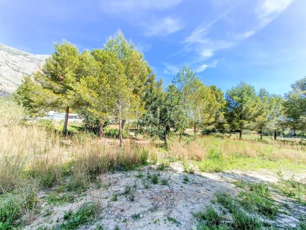 Terreno en Montgó - Ermita