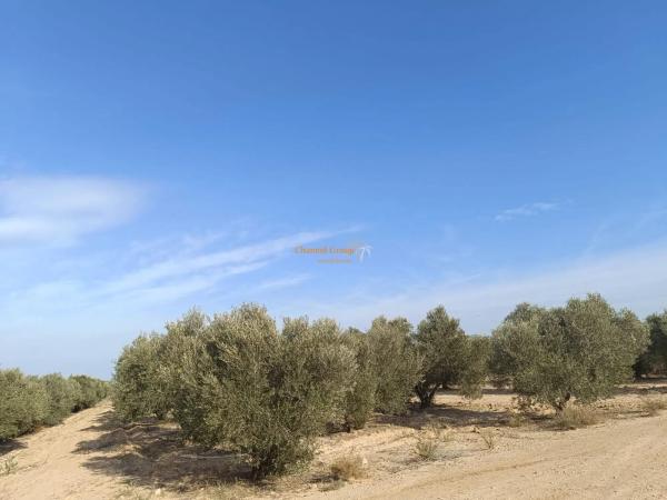 Terreno en La Marina