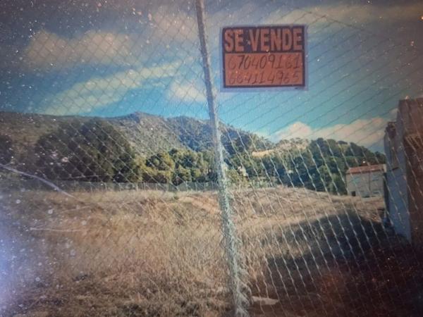 Terreno en calle de Eusebio Sempere, 39