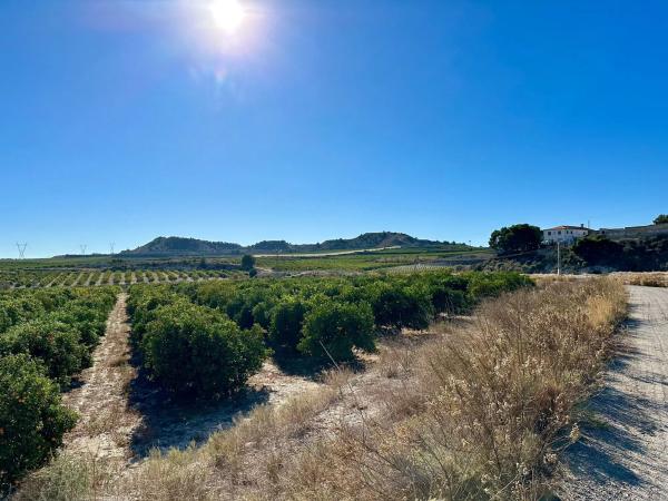 Terreno en via Augusta, km 2 b