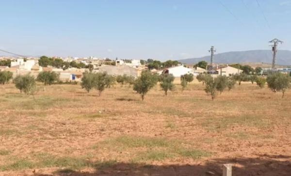 Terreno en plaza España