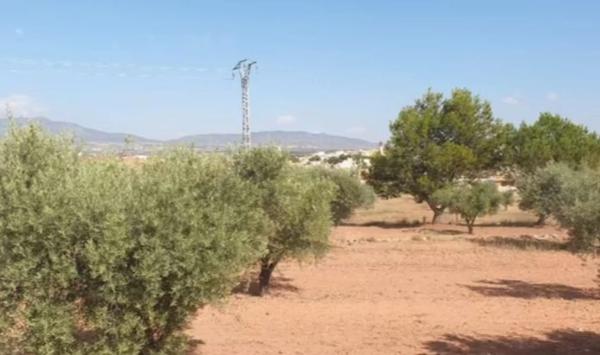 Terreno en plaza España