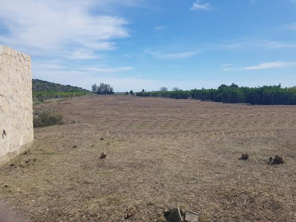 Terreno en Partida Marjal, 2