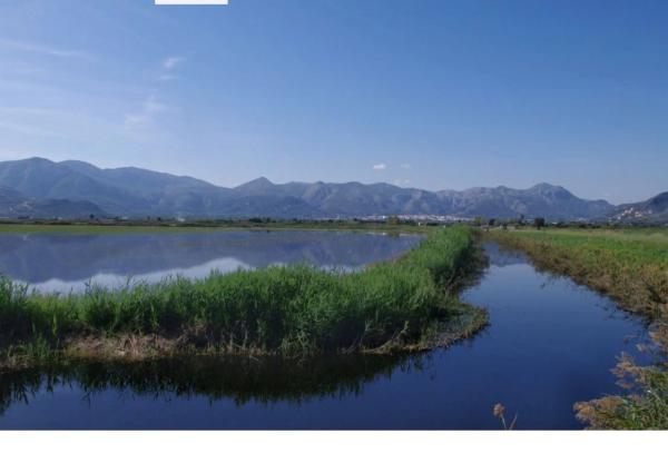 Terreno en Partida Marjal, 2