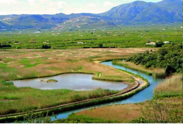 Terreno en Partida Marjal, 2