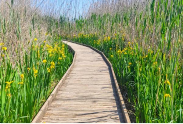 Terreno en Partida Marjal, 2