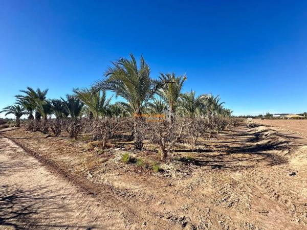 Terreno en El Altet - Balsares