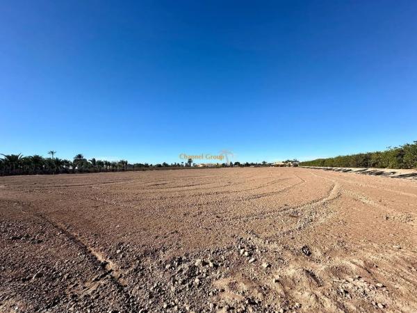 Terreno en El Altet - Balsares