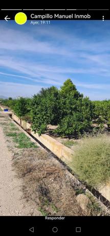 Terreno en Diseminado Diseminados, 213