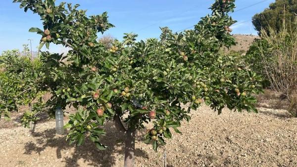 Terreno en Platja Vila Joiosa