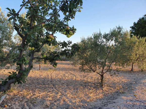 Terreno en Platja Vila Joiosa