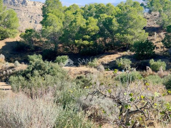 Terreno en Pedanías Este