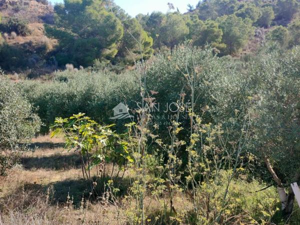 Terreno en Pedanías Este