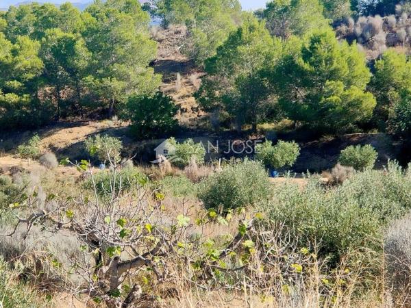 Terreno en Pedanías Este