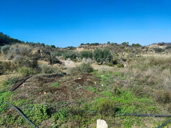 Terreno en Pedanías Este