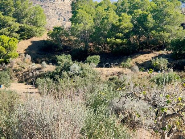 Terreno en Pedanías Este