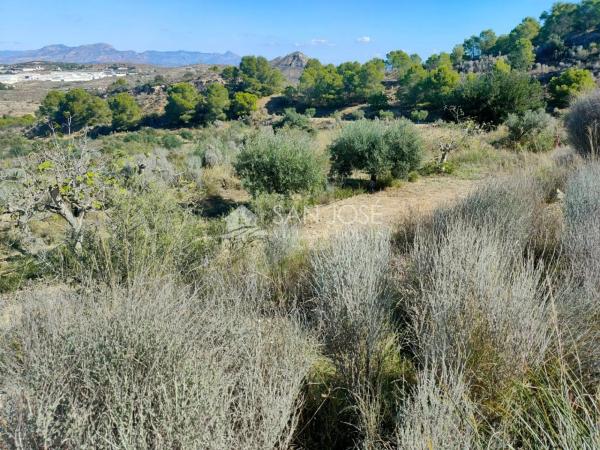 Terreno en Pedanías Este