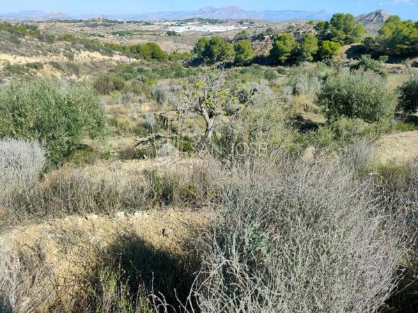 Terreno en Pedanías Este