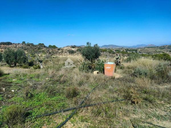 Terreno en Pedanías Este