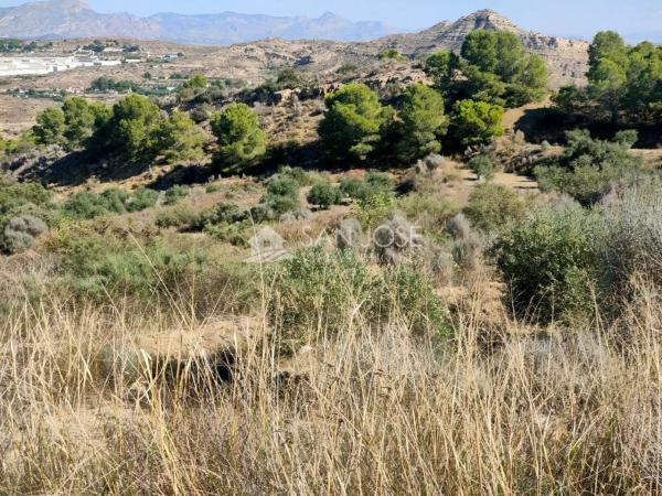 Terreno en Pedanías Este