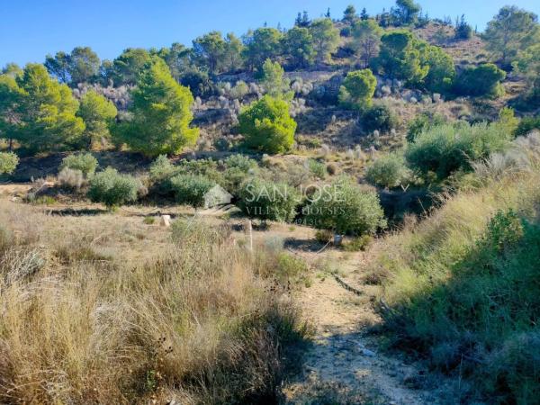 Terreno en Pedanías Este