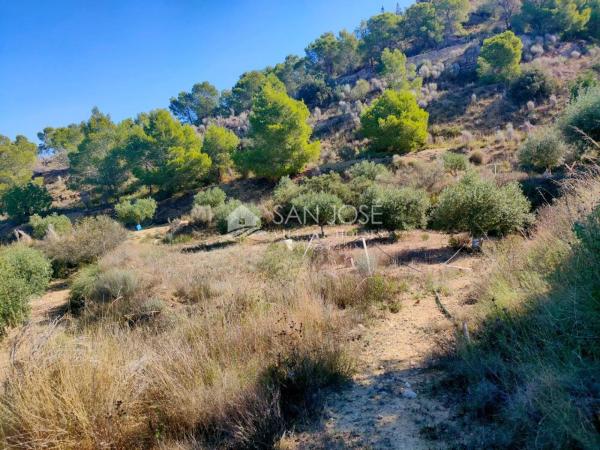 Terreno en Pedanías Este