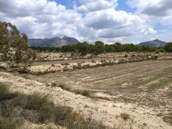 Terreno en Barranco el Palomaret, 11 --a