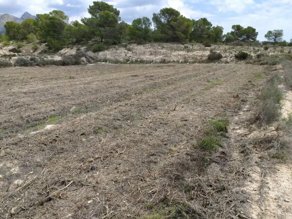 Terreno en Barranco el Palomaret, 11 --a