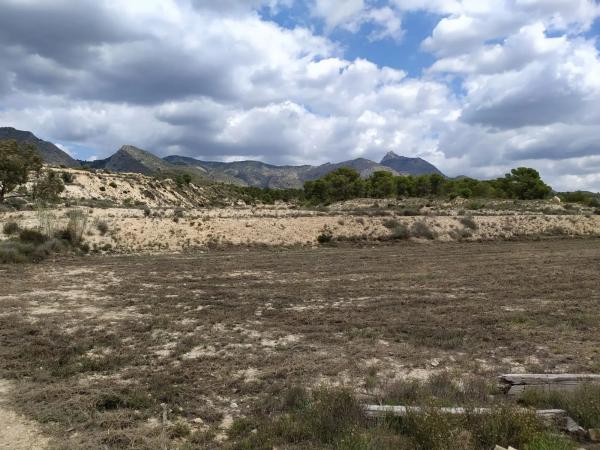 Terreno en Barranco el Palomaret, 11 --a