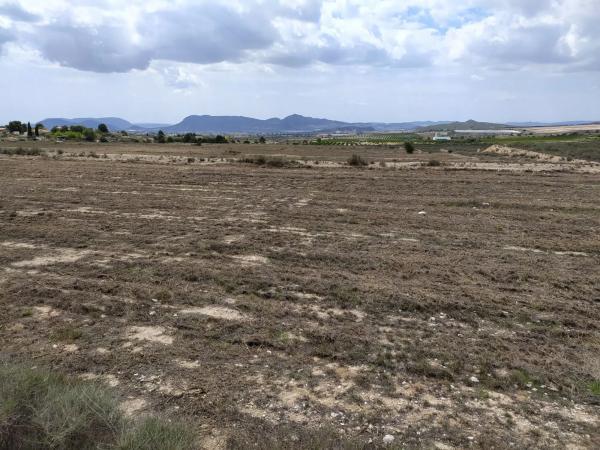 Terreno en Barranco el Palomaret, 11 --a