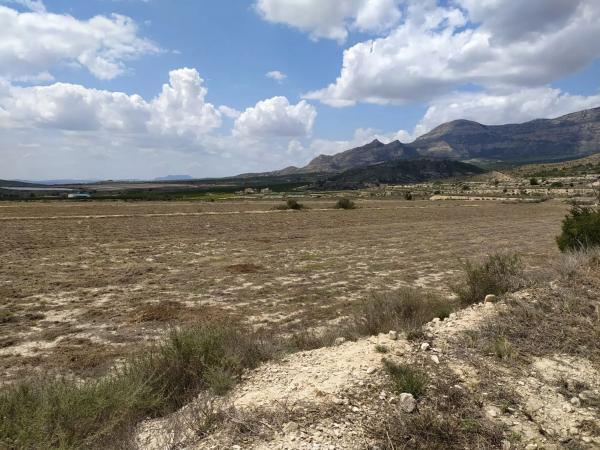 Terreno en Barranco el Palomaret, 11 --a