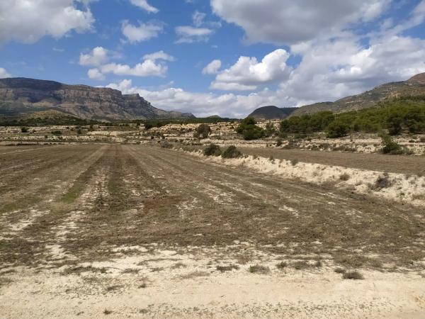 Terreno en Barranco el Palomaret, 11 --a