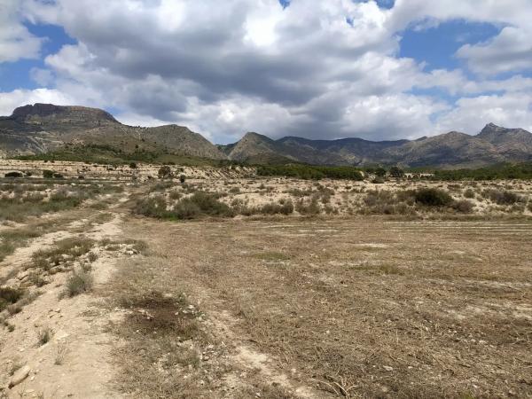 Terreno en Barranco el Palomaret, 11 --a