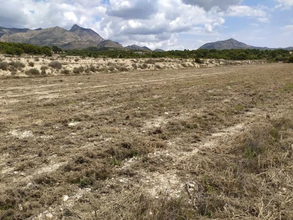 Terreno en Barranco el Palomaret, 11 --a