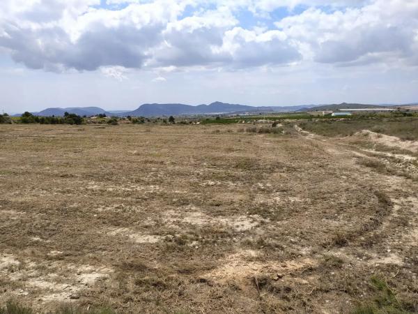 Terreno en Barranco el Palomaret, 11 --a