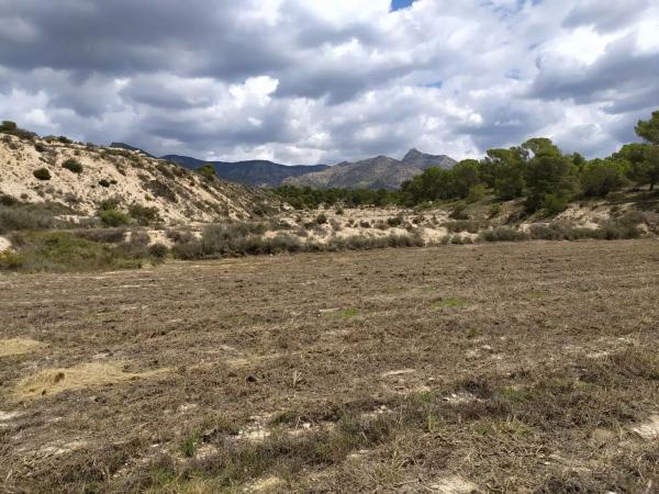 Terreno en Barranco el Palomaret, 11 --a