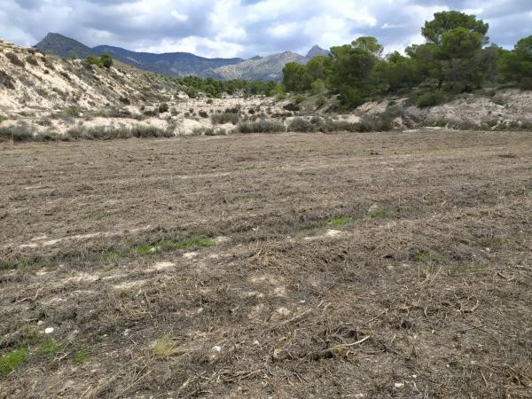 Terreno en Barranco el Palomaret, 11 --a