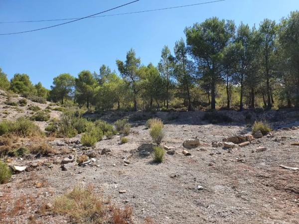 Terreno en plaza Poligono 2, 23