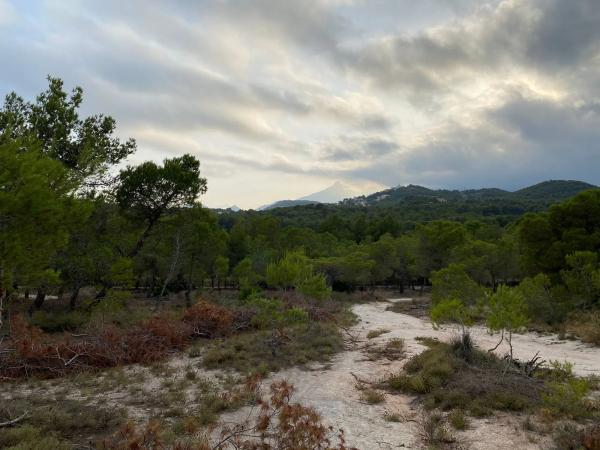 Terreno en Foia de Brell, Polígono 5, Parcela 129 s/n