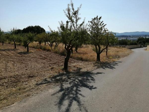 Terreno en calle Tibi