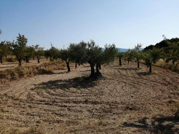 Terreno en calle Tibi