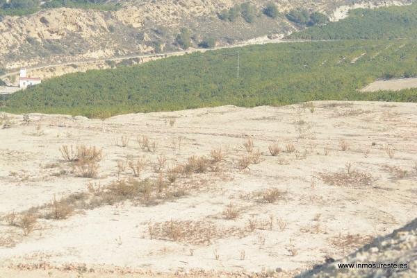 Terreno en Desamparados-Hurchillo-Torremendo